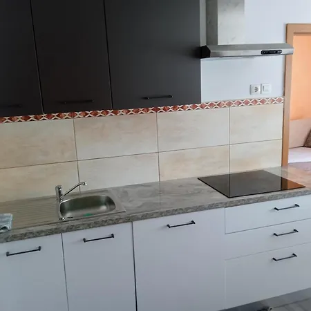 Apartmaji Stara Sola *