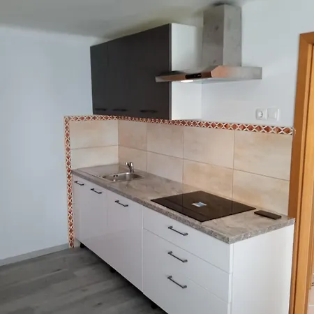 Apartmaji Stara Sola דירה